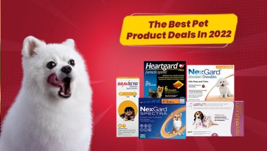 The Best Pet Product Deals in 2022