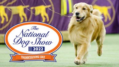 national-dog-show