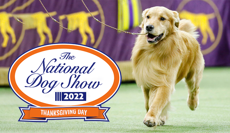 The 2022 National Dog Show On Thanksgiving Day