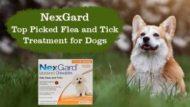 Nexgard Top Picked Flea and Tick Treatment for Dogs