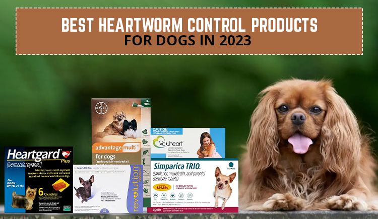 Best Heartworm Control Products