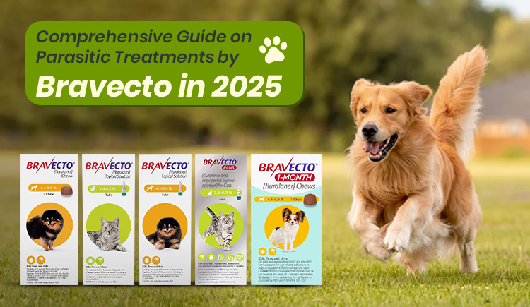 comprehensive-guide-on-parasitic-treatments-by-bravecto-in-2025