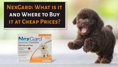 Where to Get NexGard at the Cheapest Prices
