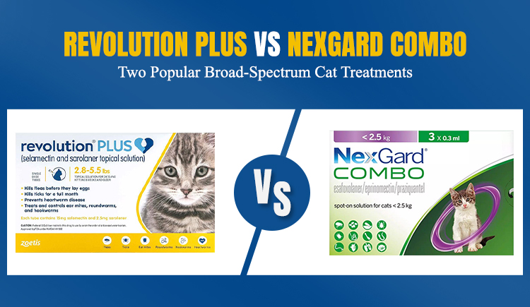 revolution-plus-vs-nexgard-combo