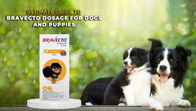 Ultimate Guide to Bravecto Dosage for Dogs and Puppies
