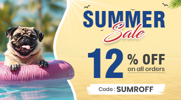 summer-sale-2025