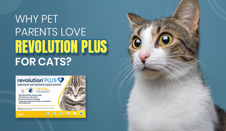 why-pet-parents-love-revolution-plus-for-cats