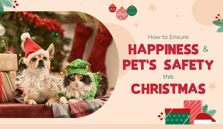 How to Ensure Pet’s Safety and Happiness this Christmas