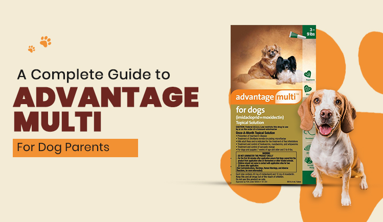 a-complete-guide-to-advantage-multi-for-dog-parents