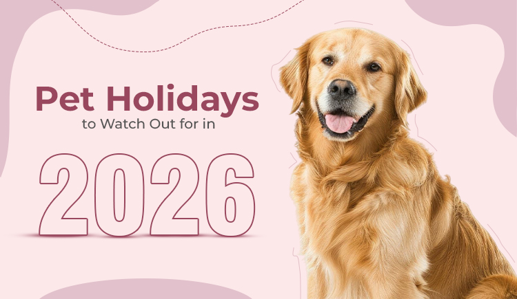 Pet Holidays To Watch Out For In 2026 BPW Blog 2026 Pet Holiday Calendar 