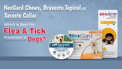 nexgard-chews-bravecto-topical-or-seresto-collar-which-is-best-for-flea-&-tick-prevention-in-dogs