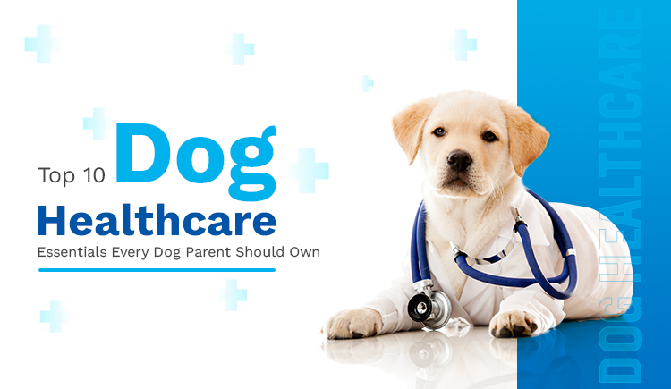 top-10-dog-healthcare-essentials-every-dog-parent-should-own