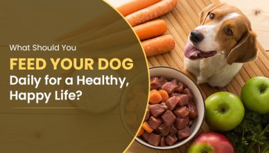 what-should-you-feed-your-dog-daily-for-a-healthy-happy-life