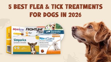 5-best-flea-&-tick-treatments-for-dogs-in-2026
