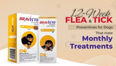 12-week-flea-&-tick-preventives-for-dogs-that-hate-monthly-treatments