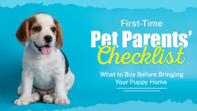 first-time-pet-parents-checklist-what-to-buy-before-bringing-your-puppy-home
