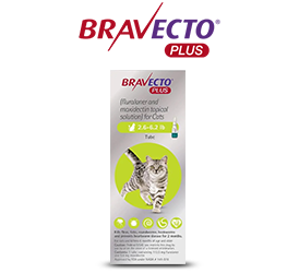 Bravecto Plus