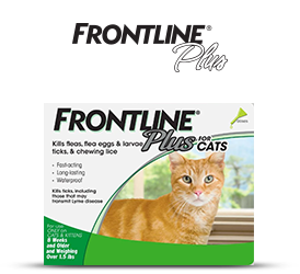 Frontline Plus