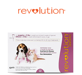 Revolution