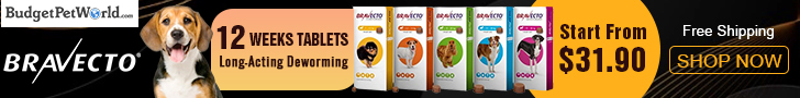 Deals for Pet Lovers: Huge Bravecto Sale! Buy Bravecto Chew only $31.90+ Free Shipping. Use Coupon Code:BPWPETS12