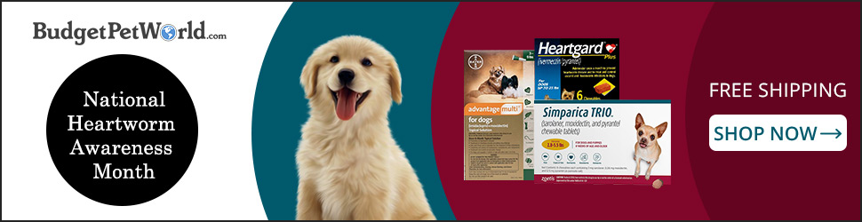Use Code:-HWAMS10 & Save 10% Extra off + Free Shipping on Heartgard Plus to Safeguard your Pet Heart on this Heartworm Awareness Month
