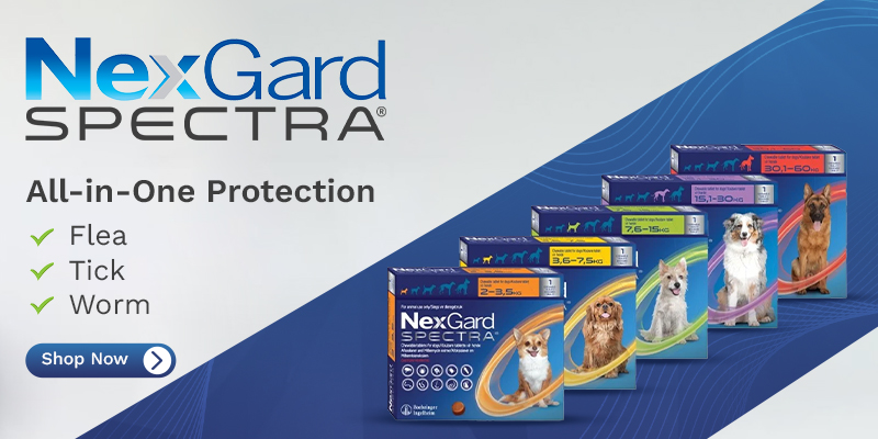 Nexgard Spectra Chewable Tablets for Dogs