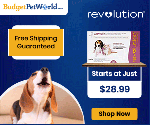 Buy Cheap Revolution Heartworm Treatment Online for Dogs & Puppies at 12% Extra Discount + Free Shipping All Orders. Use Coupon: BPWREV12