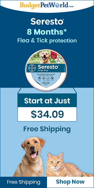 Bayer Seresto Collar Long-lasting Flea & Tick Collar for Dog Only at $35 + 12% Extra Discount & Free Shipping. Use Coupon: SCOLLAR12