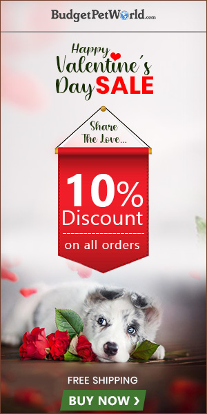 Fall In Love with your Pooch again This Valentine! Get Extra 10% Off + Free Shipping with Coupon:VLOVE10