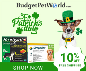 Get Lucky, Save More on this St. Patrick's Day! Avail 10% Extra OFF & Free Shipping! Use Coupon:SPTLUCK10