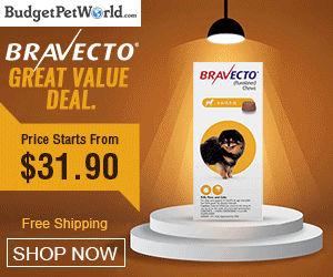 Buy Bravecto Flea & Tick Chew for Dogs Online at lowest Price with free shipping to all over USA. Use Coupon: BRVCT12 for 12% Extra Discount Today Only!