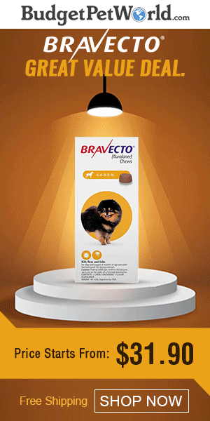 Buy Bravecto Flea & Tick Chew for Dogs Online at lowest Price with free shipping to all over USA. Bravecto for dogs is a chewable oral flea and tick treatment given every 12 weeks. Use Coupon: BRVCT12 for 12% Extra Discount Today Only!