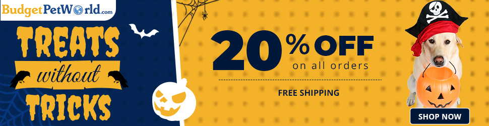 Get Up To 60% Off This Spooky Season 🎃 Free Shipping All Orders