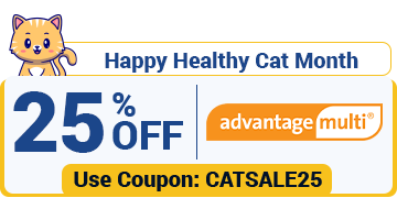 Cat Month Sale