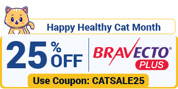 Cat Month Sale