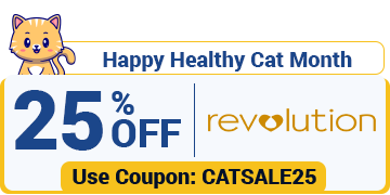 Cat Month Sale