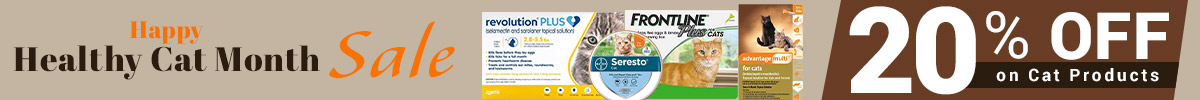 Cat Month Sale