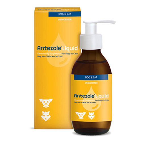 Antezole Liquid Oral Suspension For Dogs & Cats 100 Ml Antezole Liquid Oral Suspension For Dogs & Cats 100 Ml