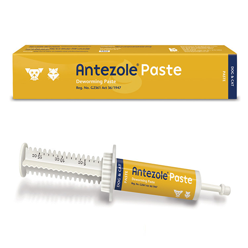Antezole Paste For Dogs & Cats 30 Ml Antezole Paste For Dogs & Cats 30 Ml
