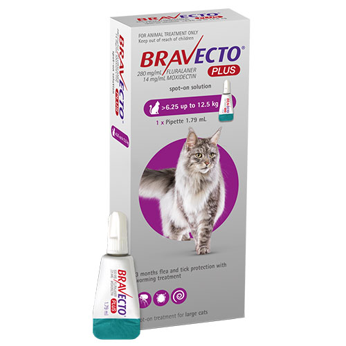 Bravecto Plus For Large Cats 500 Mg (13.75 To 27.5 Lbs) Purple 1 Doses Bravecto Plus For Large Cats 500 Mg (13.75 To 27.5 Lbs) Purple 1 Doses