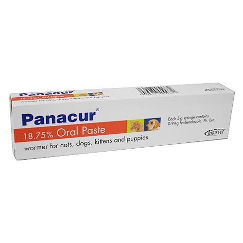 Panacur Worming Paste For Cats And Dogs 1 Pack