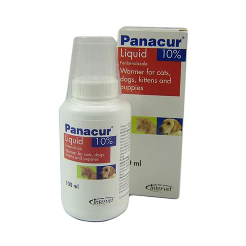 Panacur Oral Suspension For Dogs And Cats 100 Ml Panacur Oral Suspension For Dogs And Cats 100 Ml