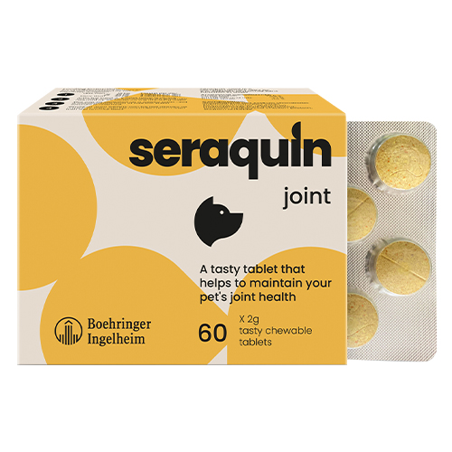 Seraquin for Dogs