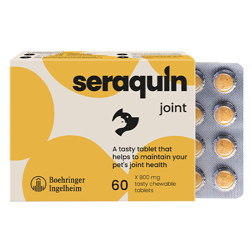 Seraquin for Dogs