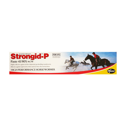 Strongid P Wormer Paste for Horse Supplies