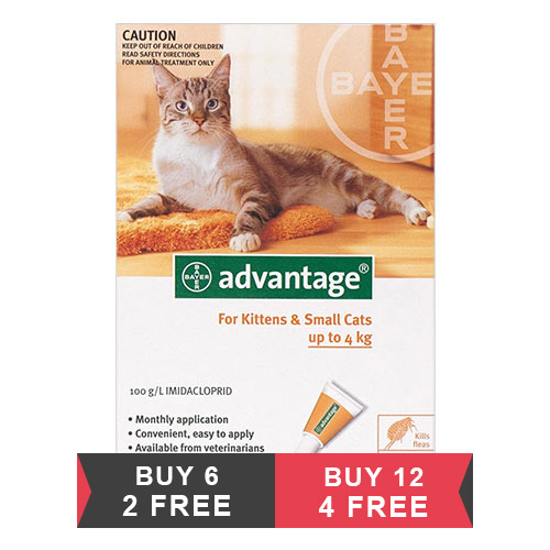 Advantage Kittens & Small Cats 1-10lbs 6 + 2 Doses Free Advantage Kittens & Small Cats 1-10lbs 6 + 2 Doses Free