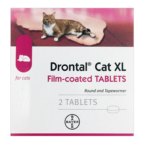 Drontal Large Cats 6kg (13lbs) 2 Tablets
