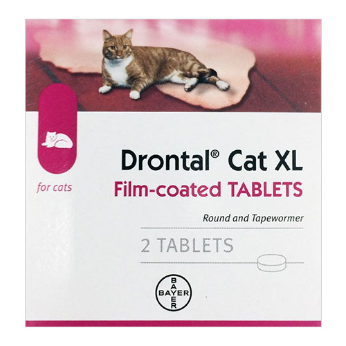 Drontal Large Cats 6kg (13lbs) 2 Tablets Drontal Large Cats 6kg (13lbs) 2 Tablets
