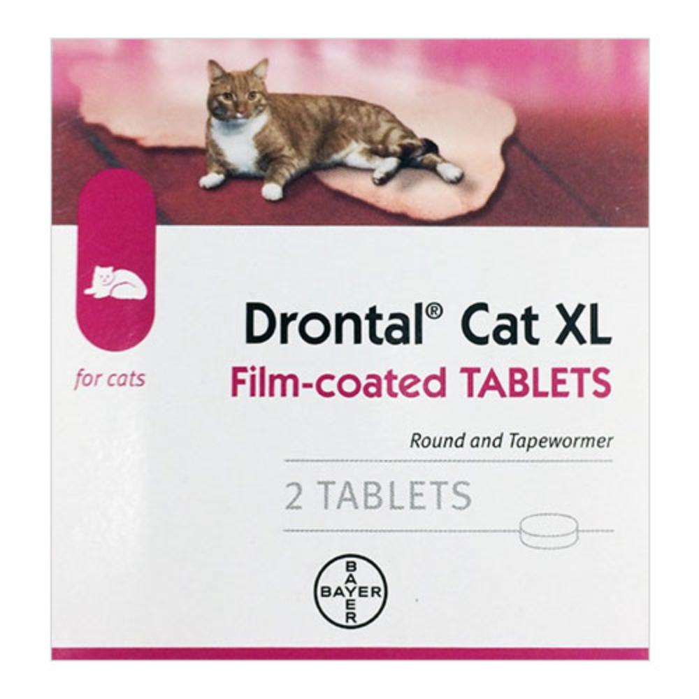 Drontal Large Cats 6kg (13lbs) 2 Tablets