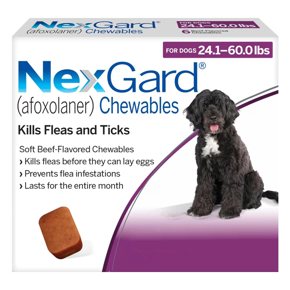 Nexgard for Dogs